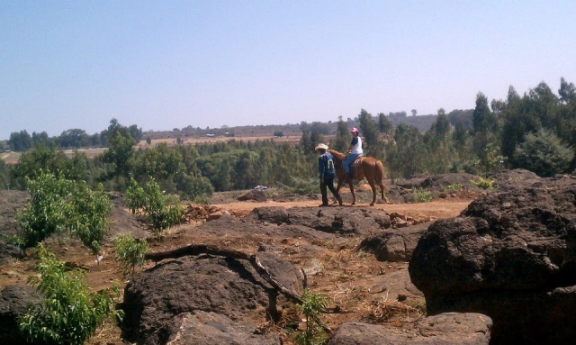  Reiten in der Natur 